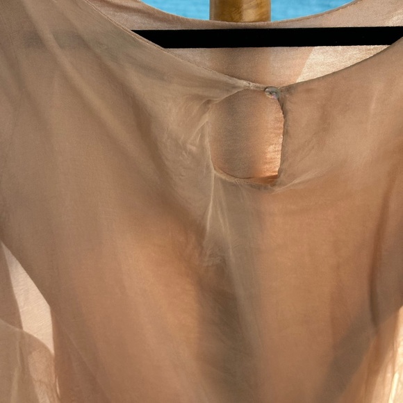 Baci elegant silk long sleeve Sheer Beige overlay top - Picture 5 of 6